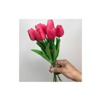 6LI ISLAK LALE KIRMIZI