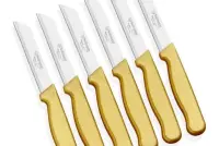 Solingen Meyve Bıçağı 6’lı Simli Gold