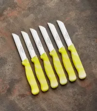 Solingen Meyve Bıçağı 6’lı MERMER Sarı