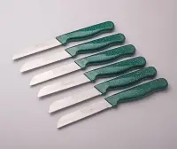 Solingen Meyve Bıçağı 6’lı Simli yeşil