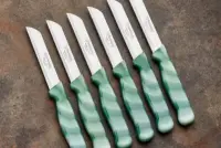 Solingen Meyve Bıçağı 6’lı MERMER Yeşil