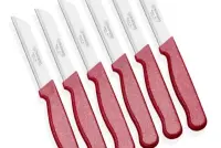 Solingen Meyve Bıçağı 6’lı Simli kırmızı