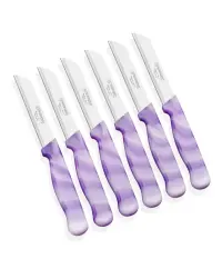Solingen Meyve Bıçağı 6’lı MERMER Mor