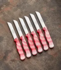 Solingen Meyve Bıçağı 6’lı MERMER Kırmızı