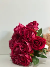 10 Dallı Gül ( FUŞYA )