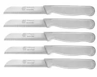 Solingen Meyve Bıçağı 6’lı Simli GRİ