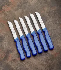 Solingen Meyve Bıçağı 6’lı Simli Mavi