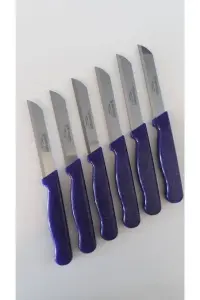 Solingen Meyve Bıçağı 6’lı Simli Mor