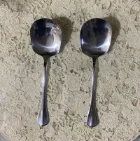 Paslanmaz ( GÜMÜŞ RENK ) Servis Kaşığı KÜÇÜK 21 cm.