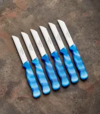 Solingen Meyve Bıçağı 6’lı MERMER Mavi