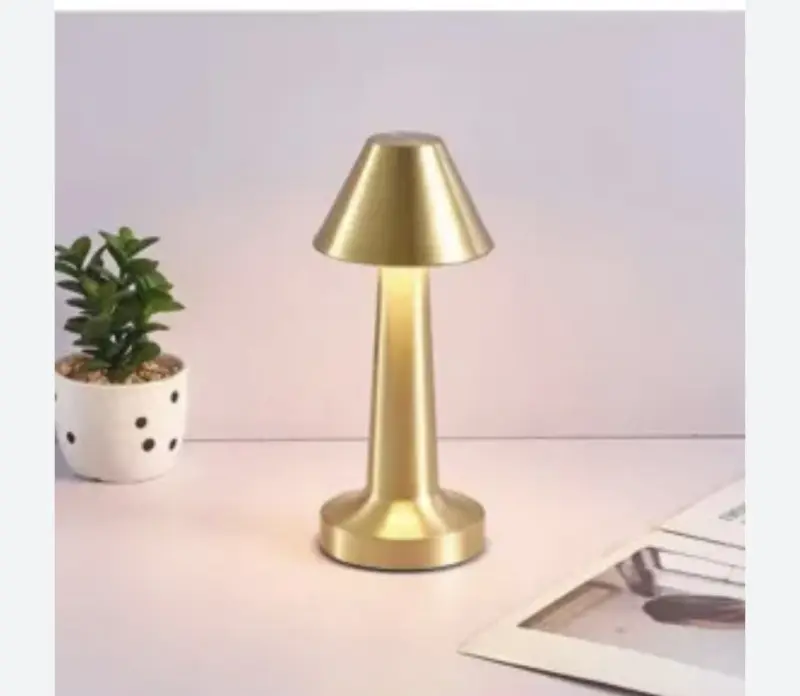 BAS YAK LAMBA MANTAR MODEL
